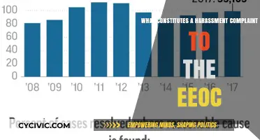 Harassment Complaint: EEOC Criteria