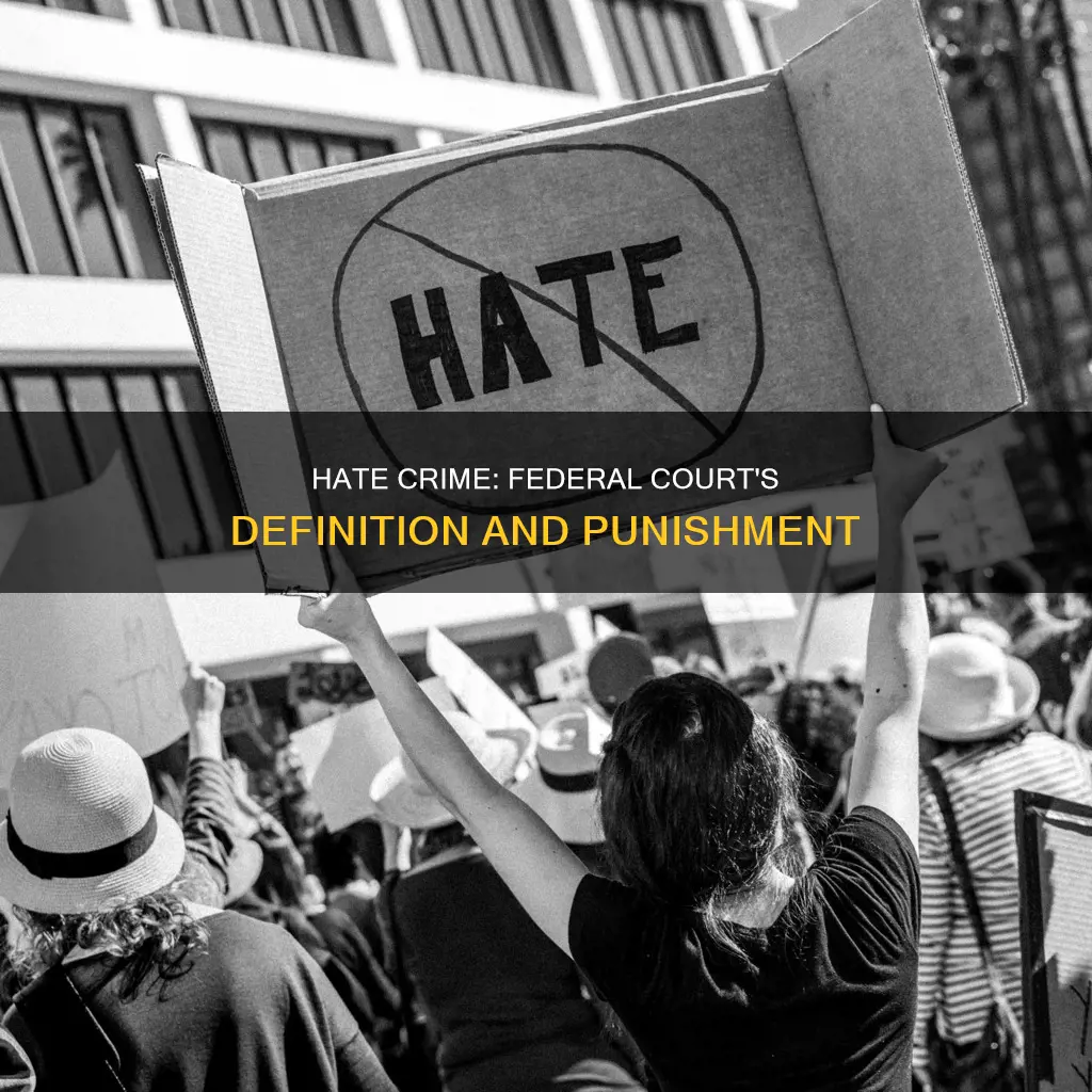 what constitutes a hate crime in federal court
