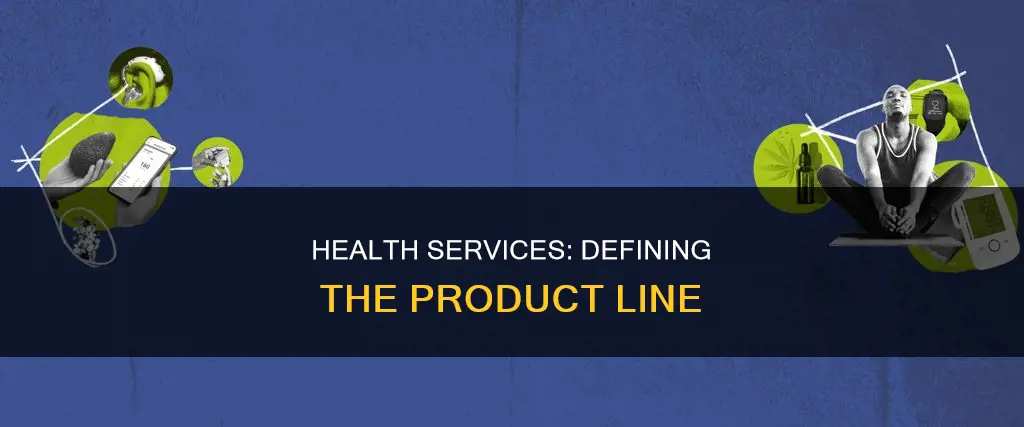 what constitutes a health services organization