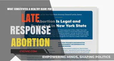 Understanding Abortion Access: Late Response, Healthy Issue