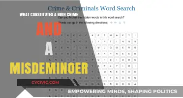 Understanding High Crimes and Misdemeanors: Definitions and Differences