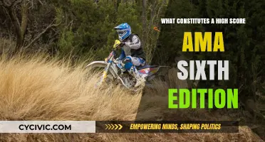 AMA Sixth Edition: High Score Secrets