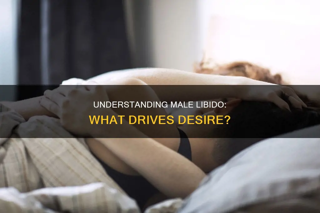 what constitutes a high sex drive in men