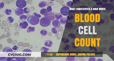Understanding High White Blood Cell Counts