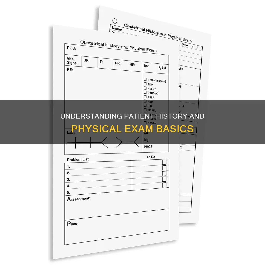 what constitutes a history and physical on a patient
