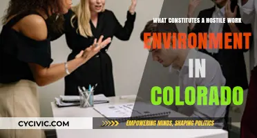 Understanding a Hostile Work Environment in Colorado