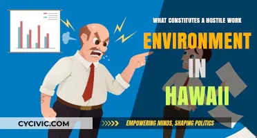 Understanding Hostile Work Environments in Hawaii