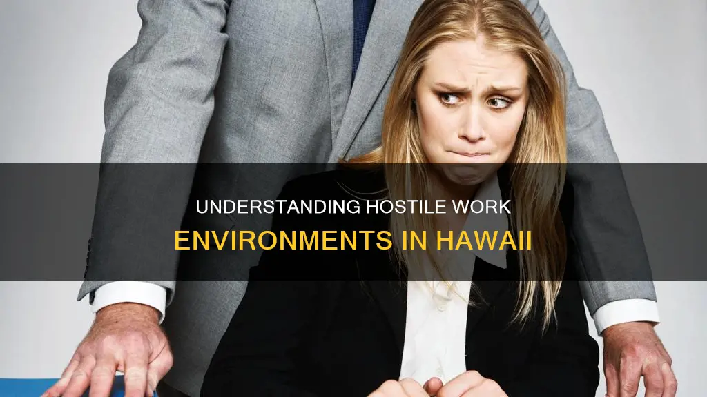 what constitutes a hostile work environment in hawaii