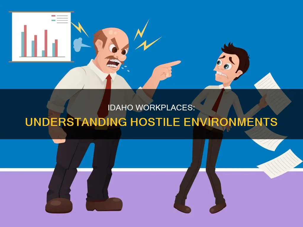 what constitutes a hostile work environment in idaho