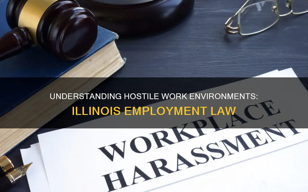 what constitutes a hostile work environment in illinois