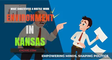 Kansas Workplaces: Understanding Hostile Environments