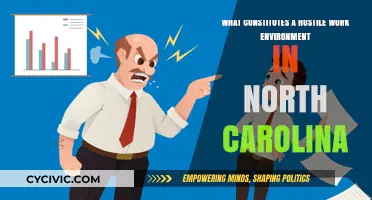 Understanding Hostile Work Environments in North Carolina