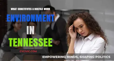 Understanding Tennessee's Hostile Work Environment Laws