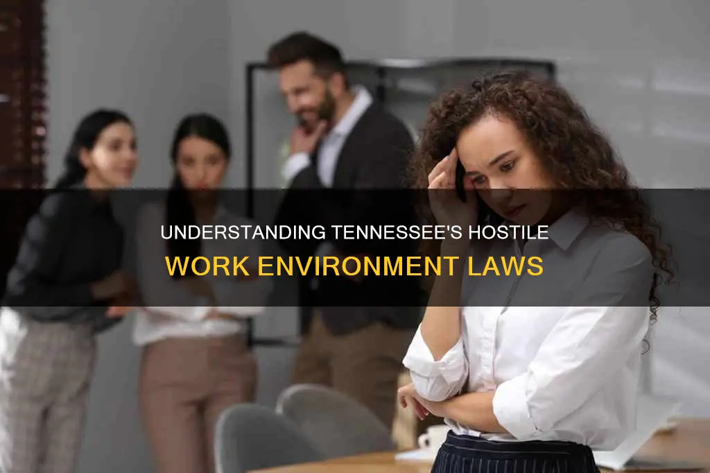 what constitutes a hostile work environment in tennessee