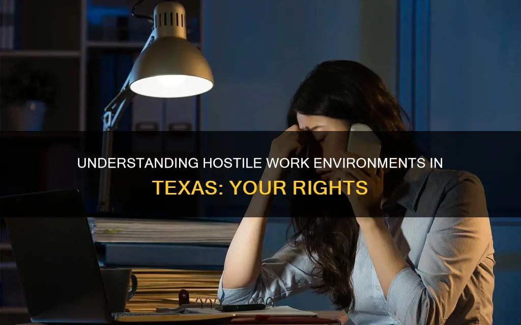 what constitutes a hostile work environment in texas