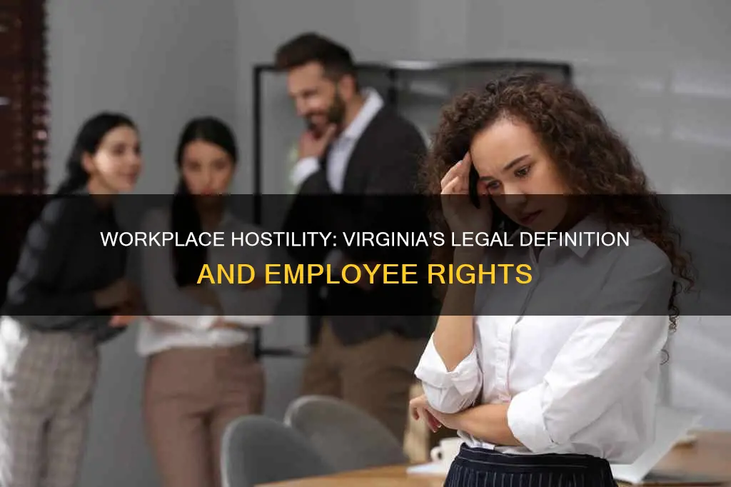 what constitutes a hostile work environment in virginia