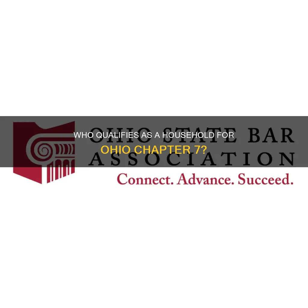 what constitutes a household for ohio chapter 7