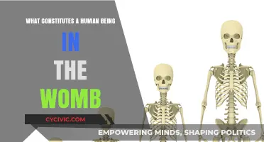 The Complex Question of Human Fetal Development