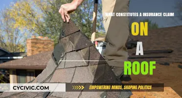 Roof Insurance Claims: What You Need to Know