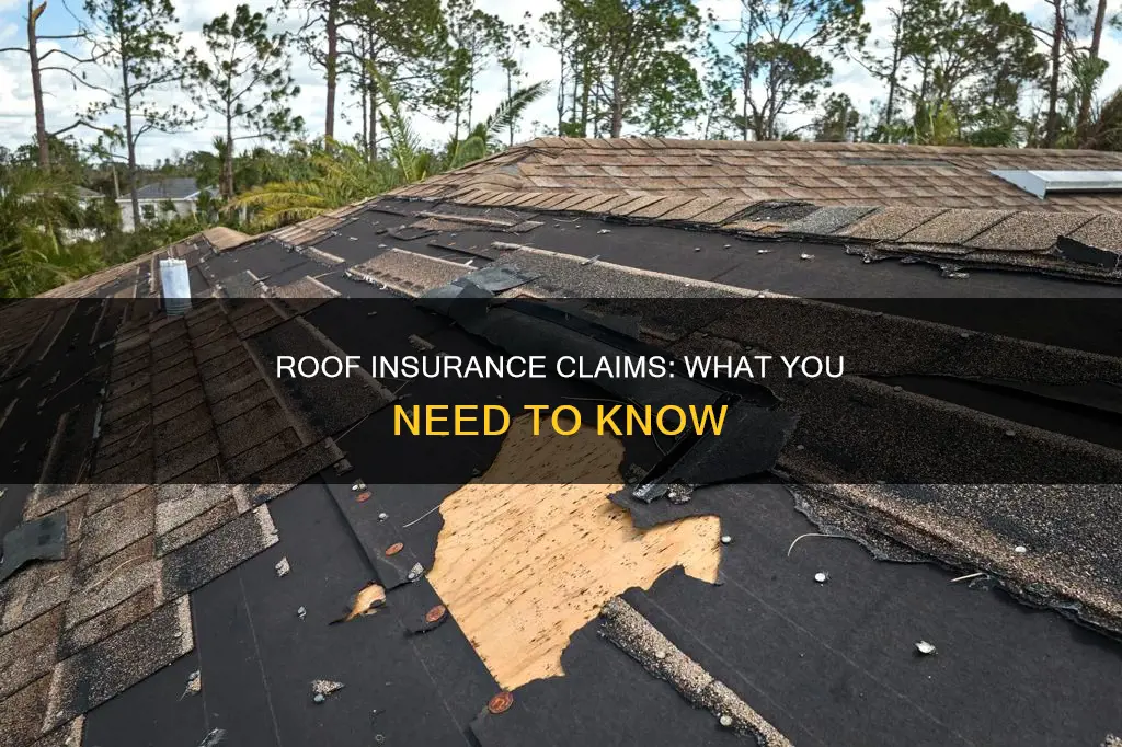 what constitutes a insurance claim on a roof