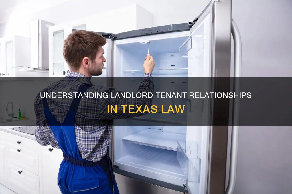 what constitutes a landlord tenant relationship in texas