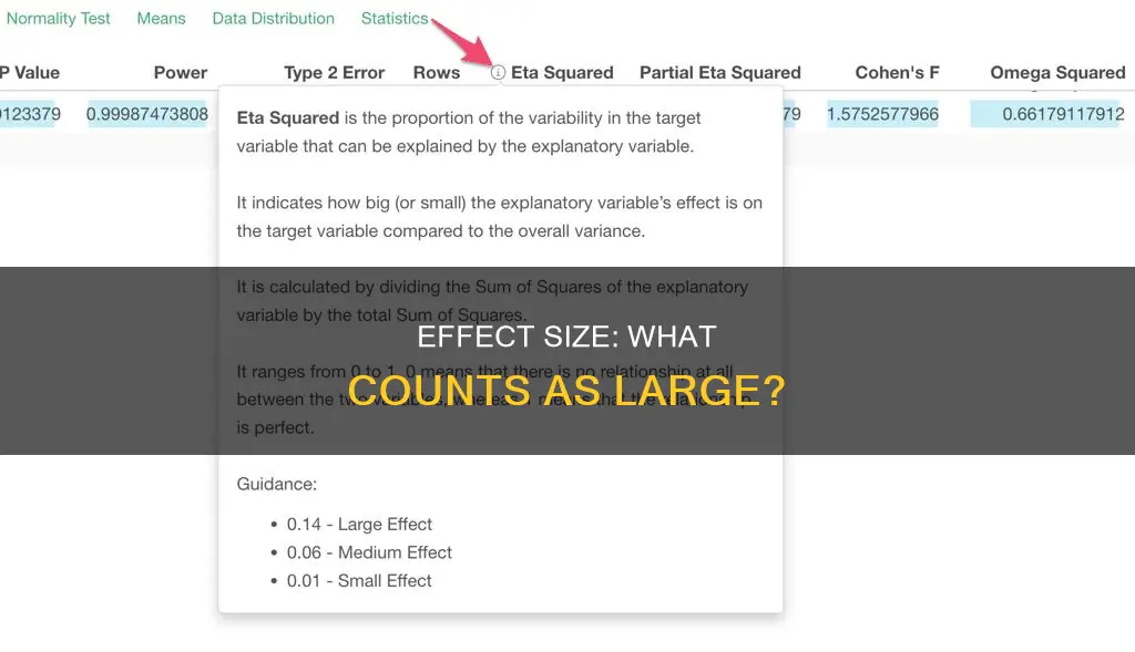 what constitutes a large effect size in statistics