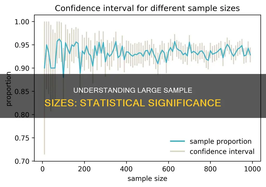 what constitutes a large sample size in statistics