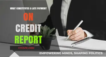 Credit Report Late Payment: What's the Criteria?