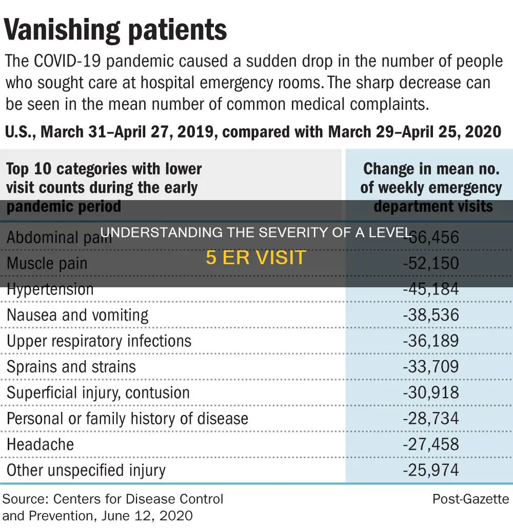 what constitutes a level 5 emergency room visit