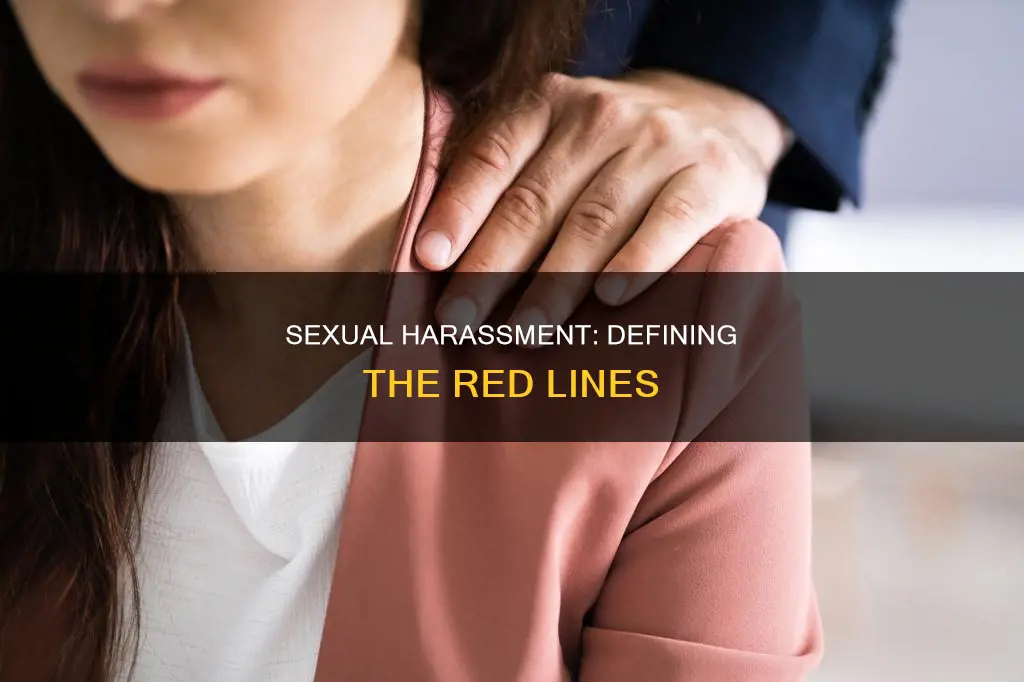 what constitutes a litmus test for sexual harassment