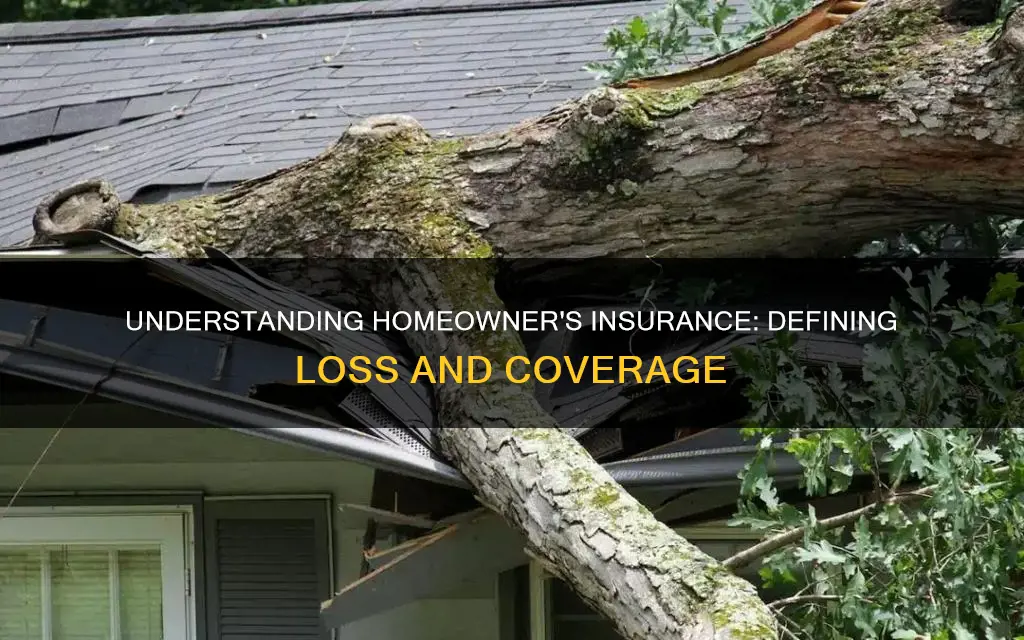 what constitutes a loss for homeowner
