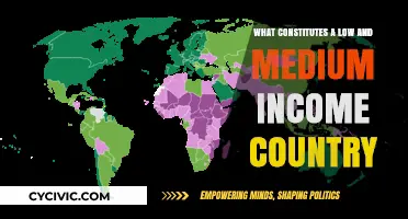 Income-Based Country Classification: Low and Medium Explained