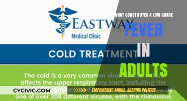 Understanding Fever: What's a Low-Grade Fever in Adults?
