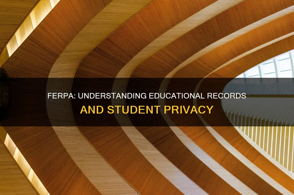 what constitutes a maintained educational record under ferpa