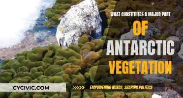 Antarctic Vegetation: Understanding the Unique Plant Life