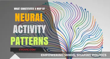 Brain Maps: Visualizing Neural Activity Patterns
