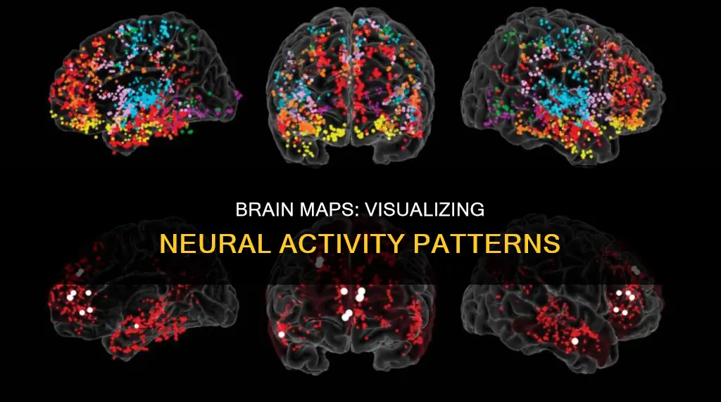 what constitutes a map of neural activity patterns