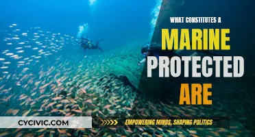 Marine Protected Areas: Understanding Their Designation and Benefits