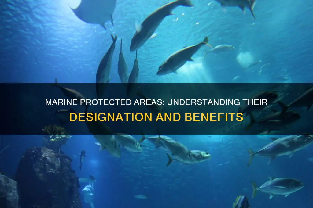 what constitutes a marine protected are