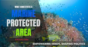 Understanding Marine Protected Areas: Definition and Significance