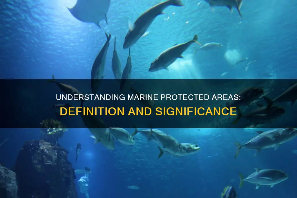 what constitutes a marine protected area