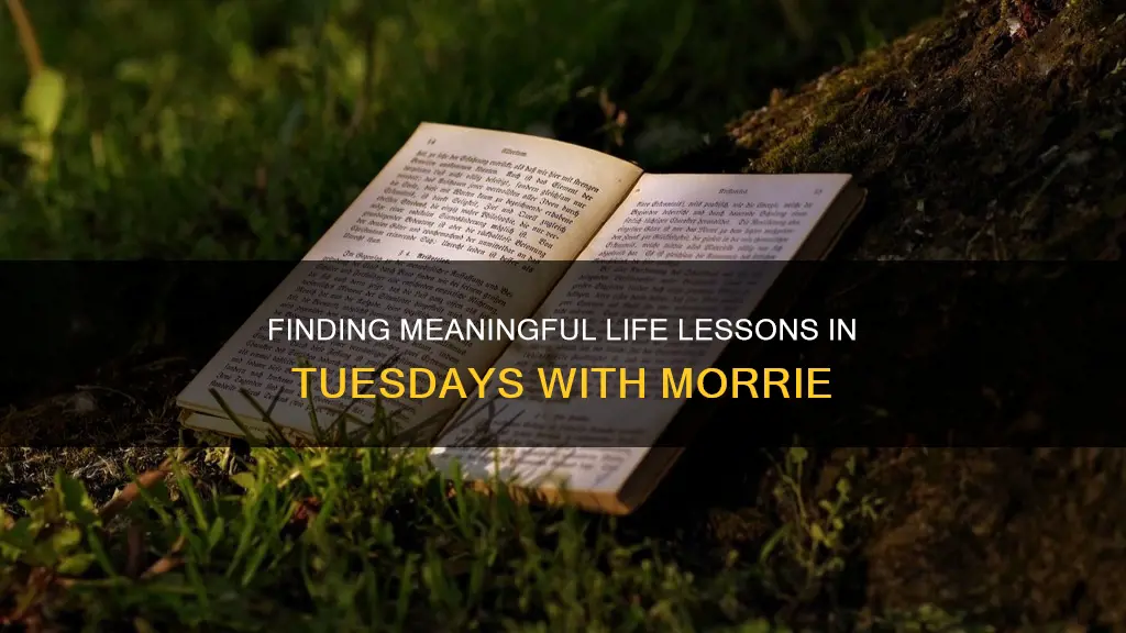 what constitutes a meaningful life in tuesdays with morrie
