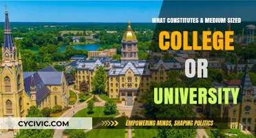 Understanding Medium-Sized Campuses: Defining Features and Benefits