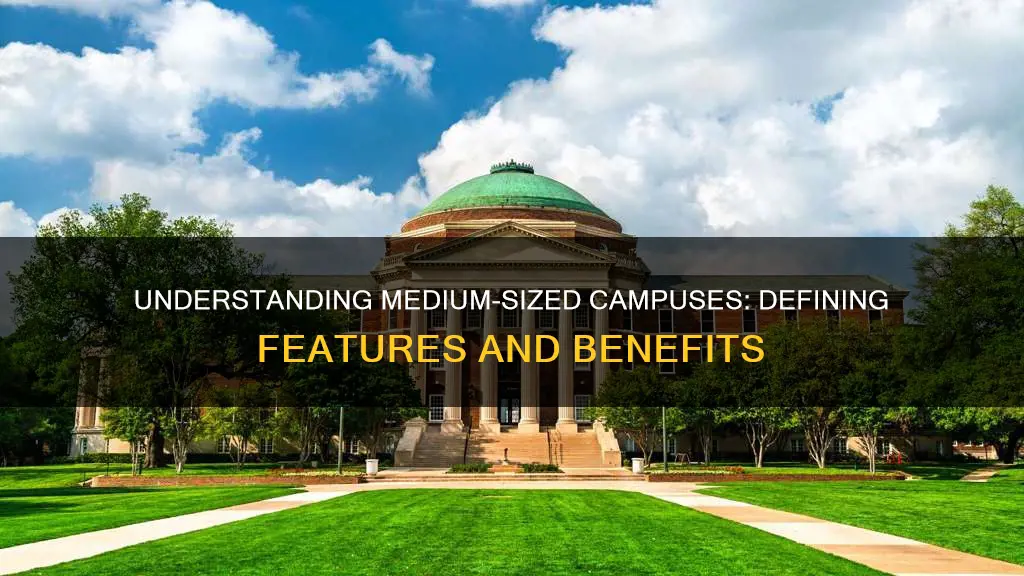 what constitutes a medium sized college or university