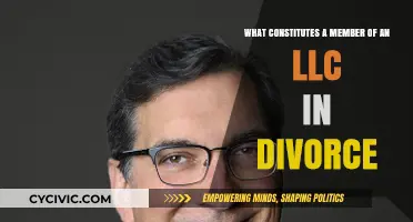 LLC Membership and Divorce: Who Owns What?