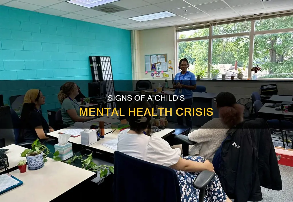what constitutes a mental health crisis in a child