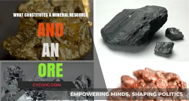 Mineral Resources: What Makes an Ore?