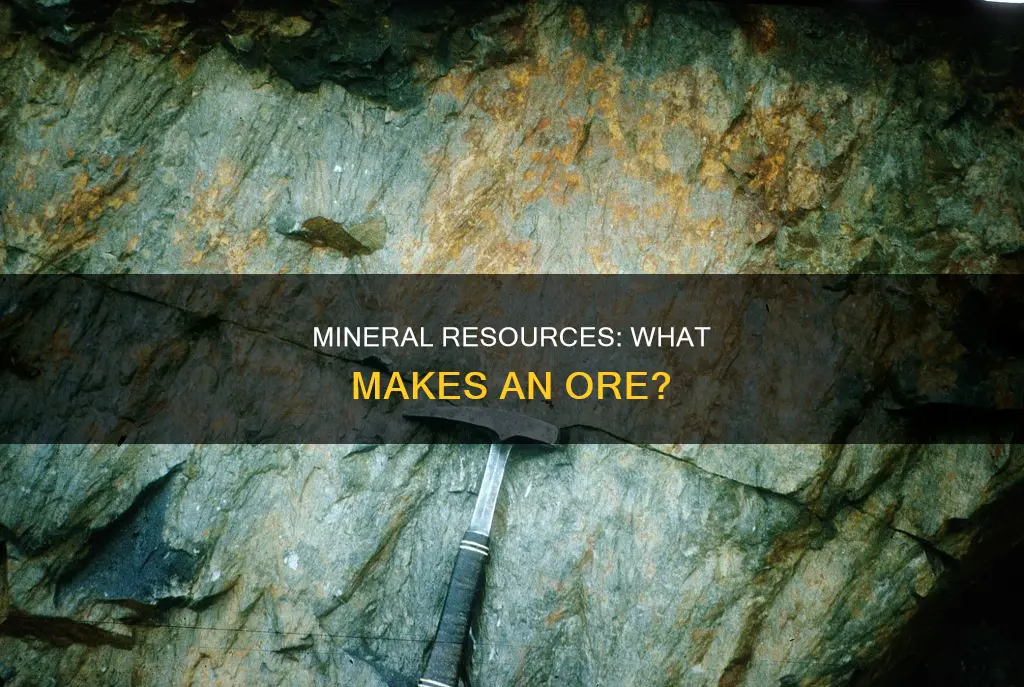 what constitutes a mineral resource and an ore
