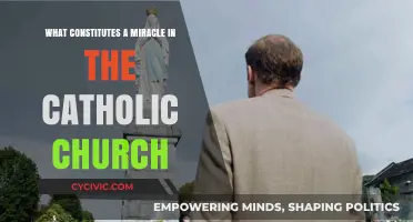 Understanding Catholic Miracles: What Counts and Why?