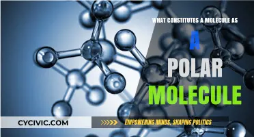 Molecular Polarity: What Makes a Molecule Polar?